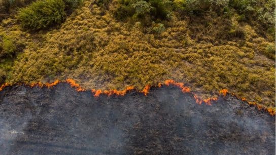 Capturing Climate Change: How Photography Can Tell the Story of a Warming World