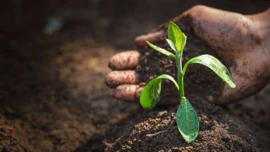 Op-Ed: Traditional Education Is Failing Us. Here’s What We Need for a Sustainable Planet