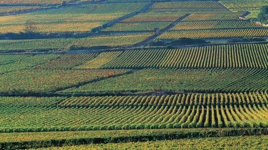 How EU-Funded ‘Living Labs’ Give Farmers a Chance to Develop and Adopt Sustainable Agricultural Practices