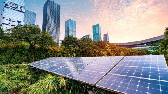 What Are the Most Important Features of Sustainable Cities?