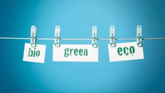 Explainer: What Is Greenwashing in Marketing?