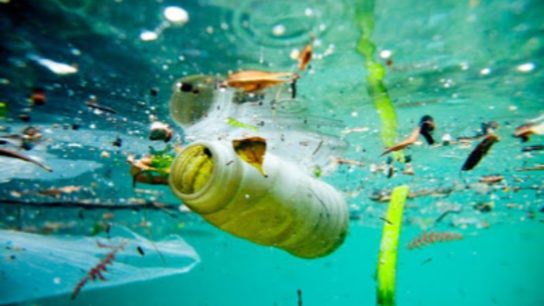 Soaking Up Our Waste: Water Contamination