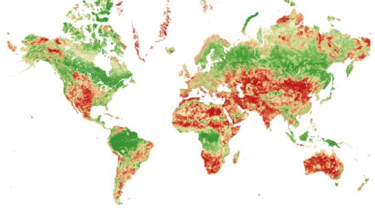 The Living Planet Report 2020: The State of Affairs