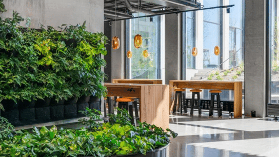 Op-Ed: How Circularity Can Reduce Waste in Construction 
