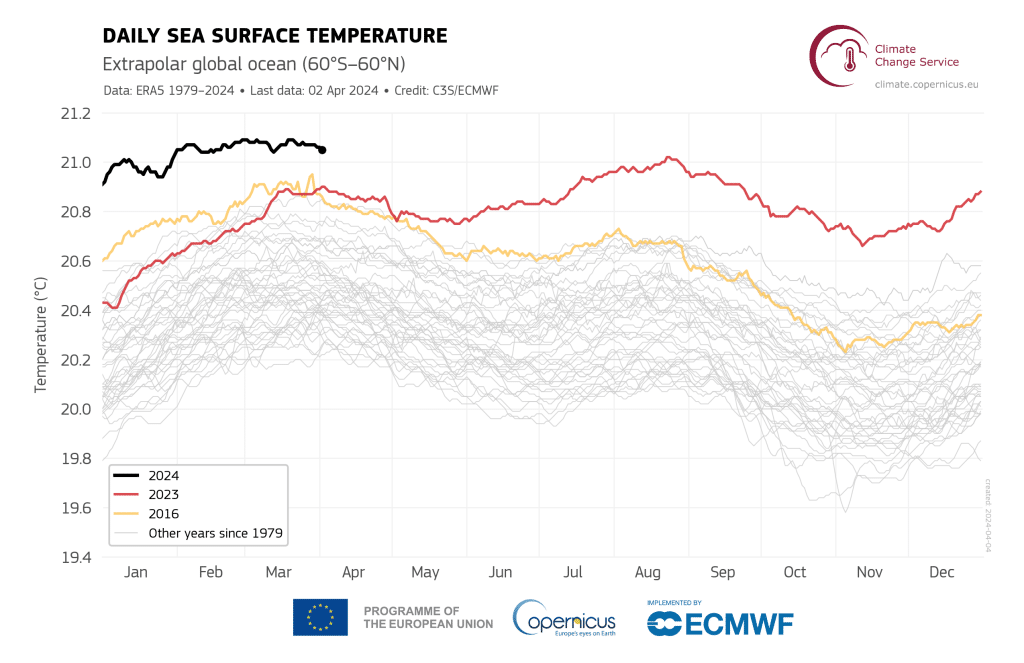 Graph showing daily sea surface temperature (°C) averaged over the extra-polar global ocean (60°S–60°N) between 1979 and 2024; last month was confirmed as the hottest March on record by Copernicus