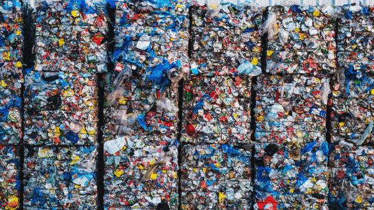 Global Recycling Day 2024: How To Introduce Recycling Into Your Business